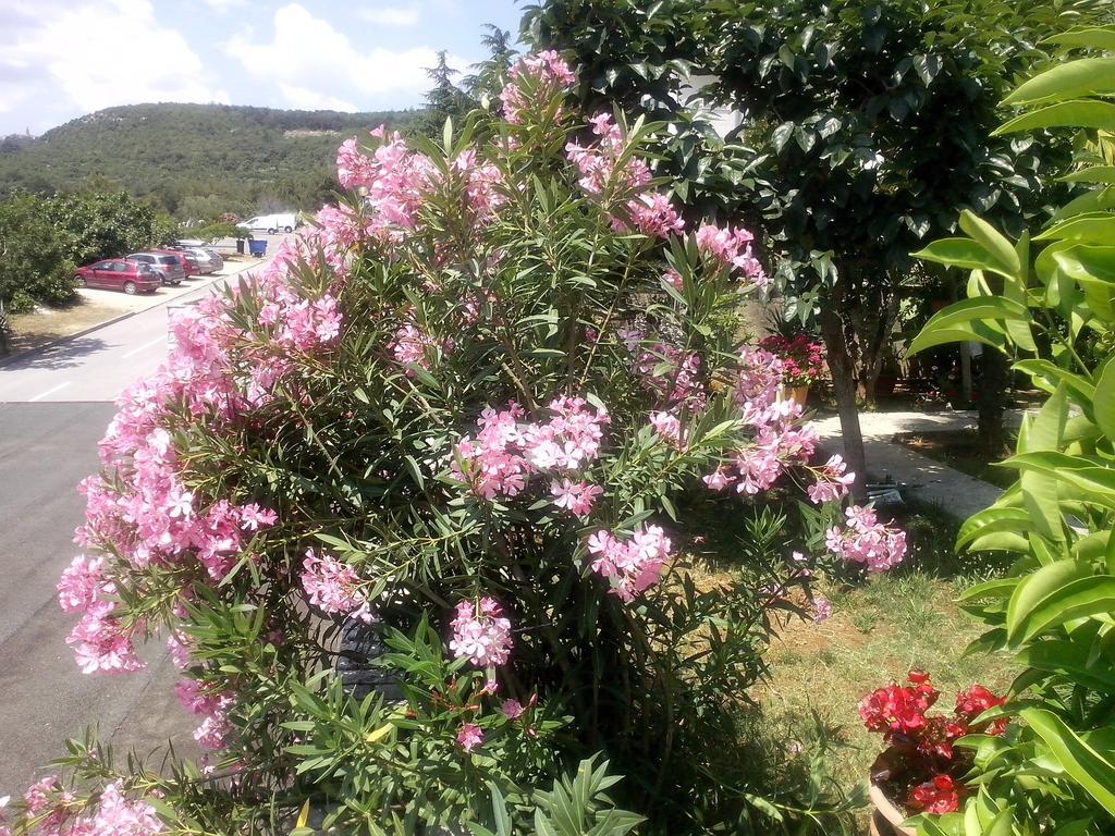 ראבץ Apartment Sandra חדר תמונה